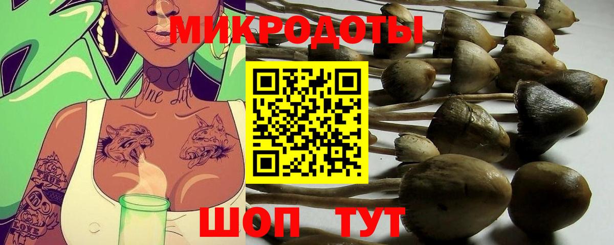 Псилоцибиновые грибы Psilocybine cubensis  Галлюциногенные грибы Psilocybine cubensis  Вход с VPN  Кызыл 